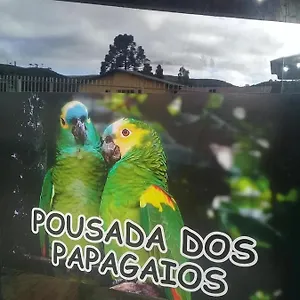 Dos Papagaios Brasil